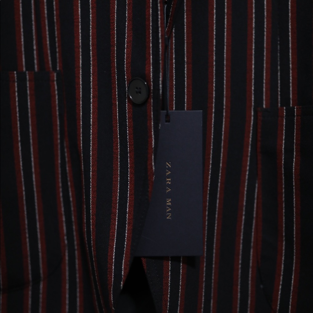 Stripped Zara Sport Coat - Picture 3 of 8